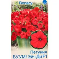 Семена цветов Петуния БУУМ! Эйч Ди F1 Ред многоцветковая (драже) Benary, Ц/П,7 шт. Семена цветов Петуния БУУМ! Эйч Ди F1 Ред многоцветковая (драже) Benary, Ц/П,7 шт.