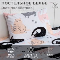 Постельное бельё Этель 1.5 сп Cat party, 143*215 см, 150*214 см, 50*70 см -1 шт,100% хлопок, бязь