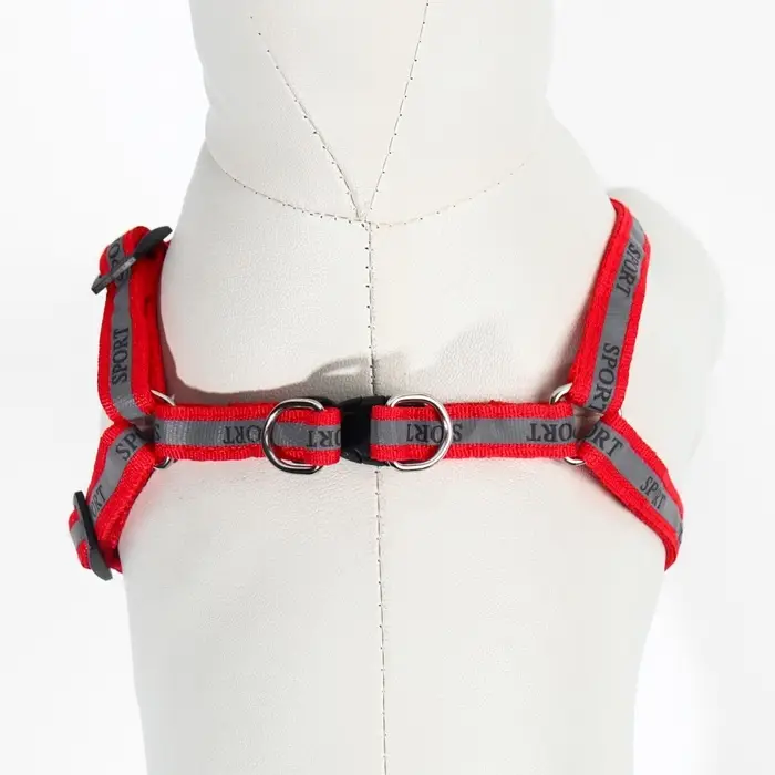 Шлейка с поводком &laquo;Спорт&raquo;, ОГ 23-35 с, ширина 1 см, поводок 120 см, светоотражающий, красная