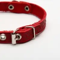 Ошейник, 1.2 см, ОШ 20-26 см, однослойный, неукрашенный, цвет и вид МИКС