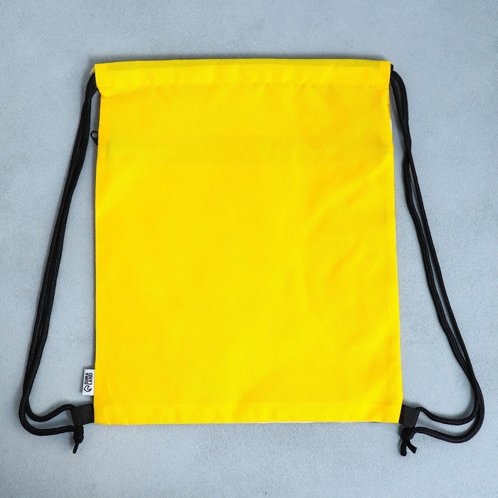 Мешок для обуви «Забавный корги» 2 секции, 30×40 см Мешок для обуви «Забавный корги» 2 секции, 30×40 см