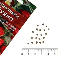 Семена Земляника &laquo;Руяна&raquo;, альпийская, 0.04 г, &laquo;Аэлита&raquo;
