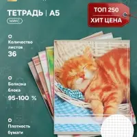 Тетрадь 36 листов в клетку Calligrata &laquo;Котята&raquo;, МИКС
