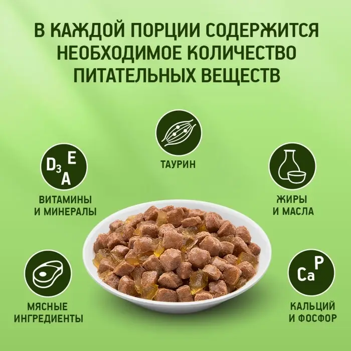 Влажный корм KiteKat для кошек, курица в желе, пауч, 85 г Влажный корм KiteKat для кошек, курица в желе, пауч, 85 г