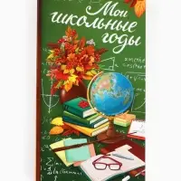 Фотоальбом на 300 фото 10&times;15 см &laquo;Мой школьные годы&raquo;
