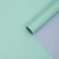 Плёнка для цветов двухцветная, глициния - мятный, 50 см &times; 10 м &plusmn;5%, пастельная серия