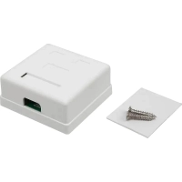 Розетка настенная TWT TWT-SM2-4545-WH 2 порта RJ-45 кат. 5е, UTP, белая