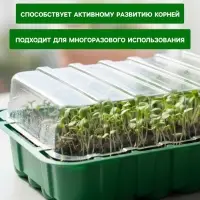 Мини - парник для рассады, 25&times;17.5&times;4.5 см, 24 ячейки под таблетки для рассады d=3 см, пластик, Greengo
