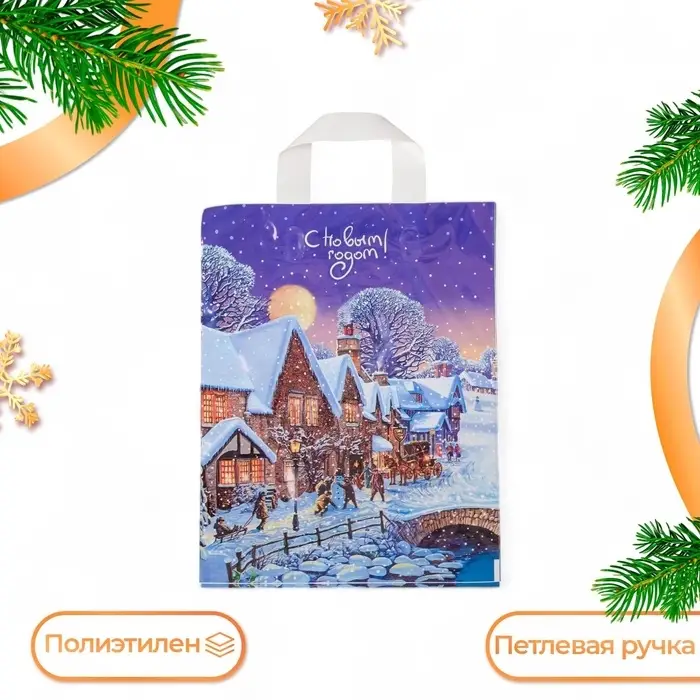 Пакет «Зимушка», полиэтиленовый с петлевой ручкой, 28×35 см Пакет «Зимушка», полиэтиленовый с петлевой ручкой, 28×35 см