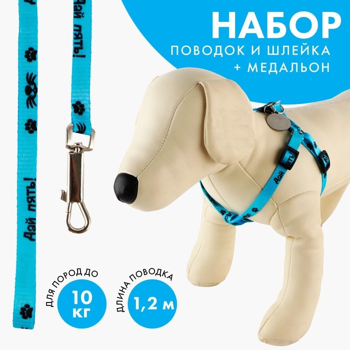 Комплект «Дай пять!», шлейка 26-39 см, поводок 120х1 см, медальон Комплект «Дай пять!», шлейка 26-39 см, поводок 120х1 см, медальон