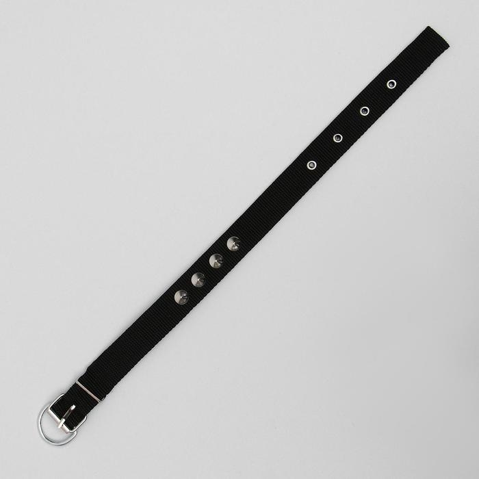 Ошейник для животных Ошейник для животных