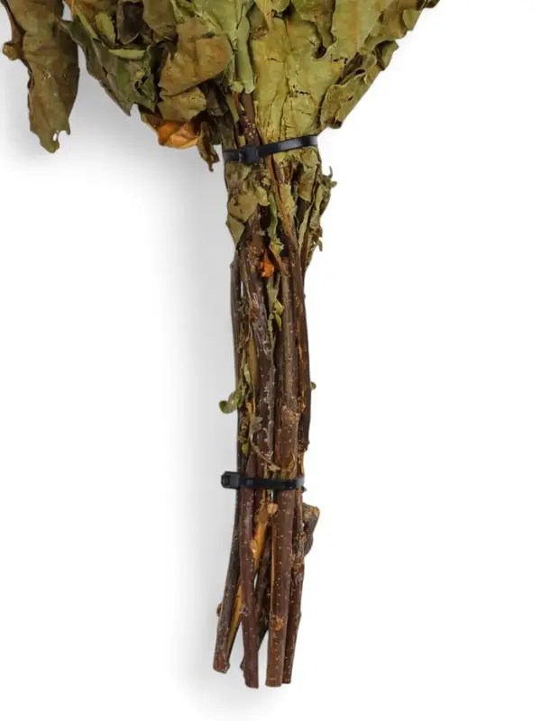 Веник для бани, дубовый, в пакете