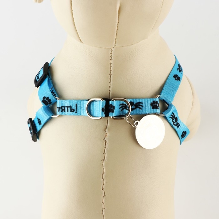 Комплект «Дай пять!», шлейка 26-39 см, поводок 120х1 см, медальон Комплект «Дай пять!», шлейка 26-39 см, поводок 120х1 см, медальон
