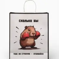 Пакет подарочный бумажный, &laquo;Сколько бы тебе не стукнуло - отбивайся&raquo;, 24&times;10.5&times;32 см
