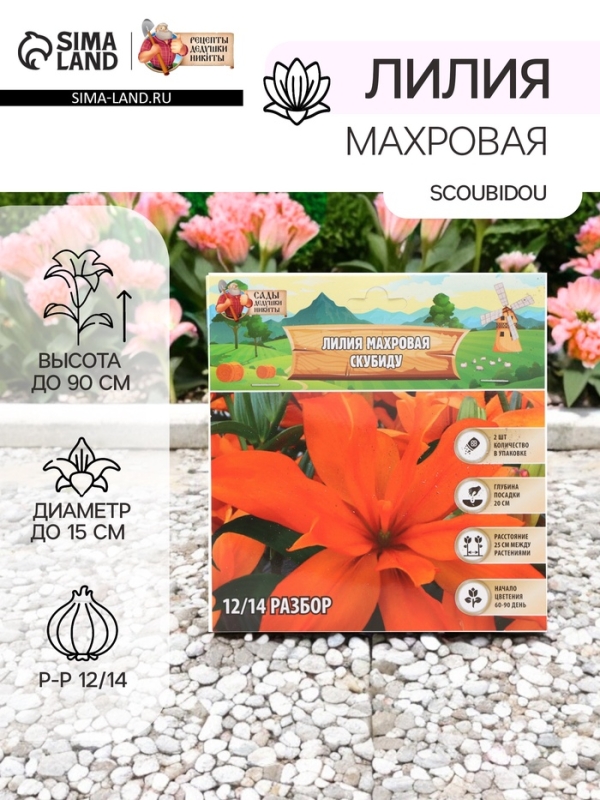 Лилия Махровая Scoubidou, луковица в пакете с перфорацией, р-р 12/14, 2 шт.