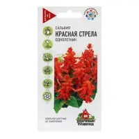 Семена Сальвия "Красная стрела", ц/п, 0,05 г Семена Сальвия "Красная стрела", ц/п, 0,05 г
