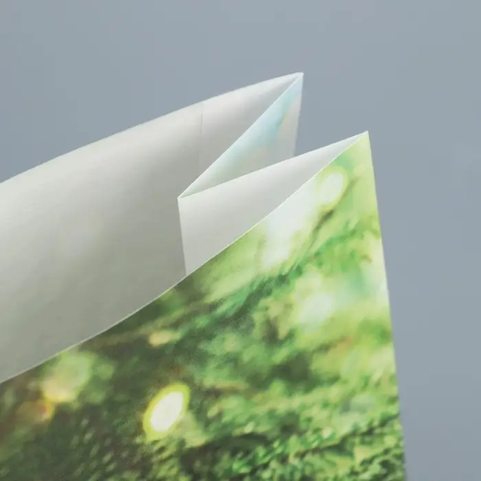 Пакет без ручек «С Новым годом», веточка ели, 10 х 19.5 х 7 см, Новый год Пакет без ручек «С Новым годом», веточка ели, 10 х 19.5 х 7 см, Новый год