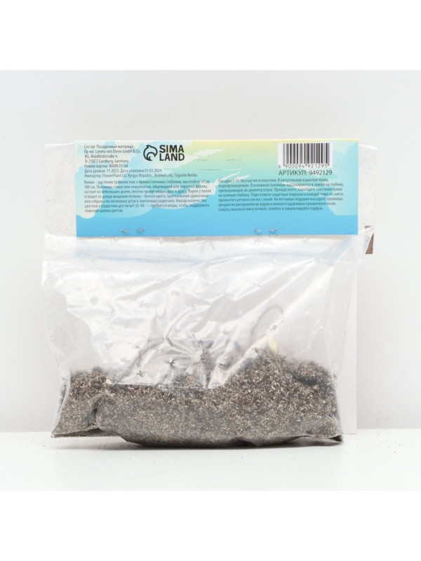 Лилия Азиатская Кашпо Foxtrot, луковица в пакете с перфорацией, р-р 12/14, 2 шт.