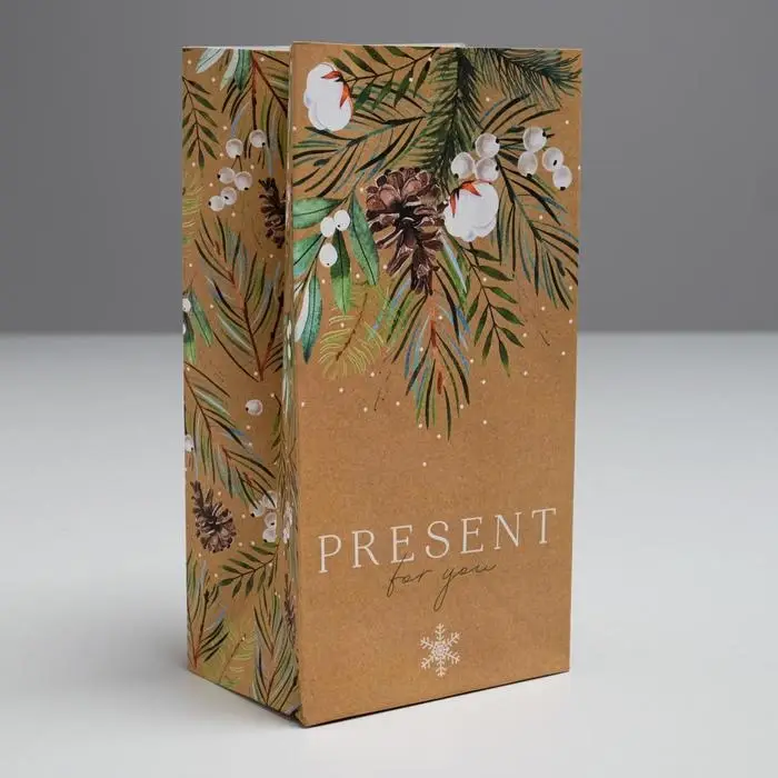 Пакет без ручек «Present for you», 10 х 19.3 х 7 см Пакет без ручек «Present for you», 10 х 19.3 х 7 см