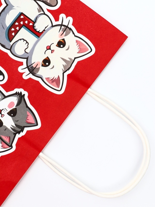 Пакет подарочный крафт Пакет подарочный крафт "Love" 21 х 11 х 27 См