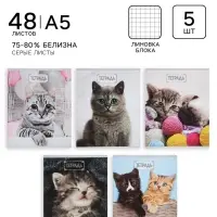 Тетради 48 листов в клетку, Calligrata &laquo;Милые котята&raquo;, серые листы, 5 штук