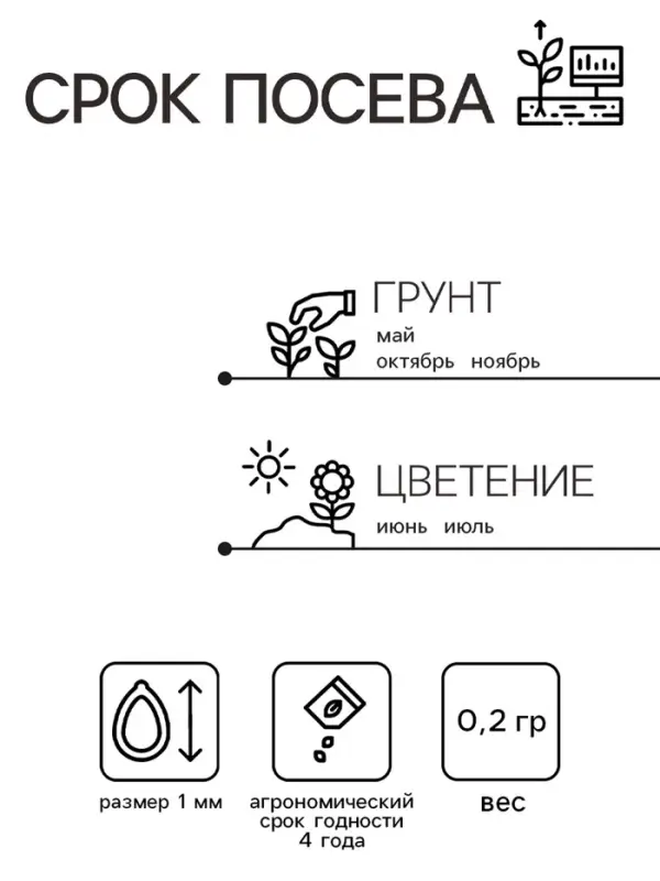 Семена Гипсофила  Семена Гипсофила "Белая метельчатая", ц/п,  0,2 гр.