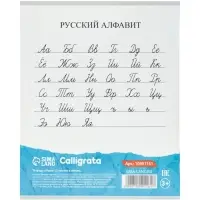 Тетради 10 штук 12 листов в линейку Calligrata KIDS, серые листы, блок №2, 5 видов