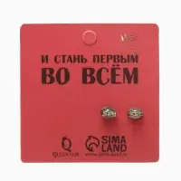 Серьги металл &laquo;Пусеты&raquo; стальные, линии, цвет серебро
