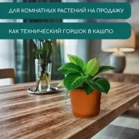 Горшок для рассады, 1.5 л, d=15.5 см, h=12.5 см, мягкий пластик, терракот, Greengo
