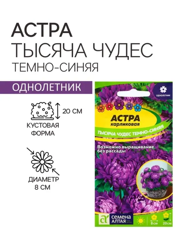 Семена Астра Семена Астра "Тысяча чудес", ц/п, темно-синяя 0,2 гр.