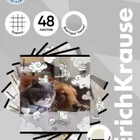 Тетрадь 48 листов в клетку ErichKrause Dream Cat, 60 г/м&sup2;, обложка мелованный картон, МИКС