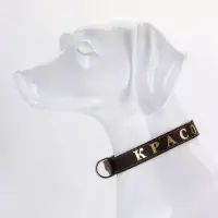 Ошейник &laquo;Красотка&raquo;, 60&times;2.5 см, однослойный, тиснение фольгой, кожа, цвет МИКС