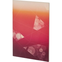 Тетрадь общая А4,48л,кл,скоб,офсет-2 Ice красн/фиол