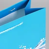 Пакет подарочный "Чёткий акцент" ламинированный 26 х 12 х 32 см