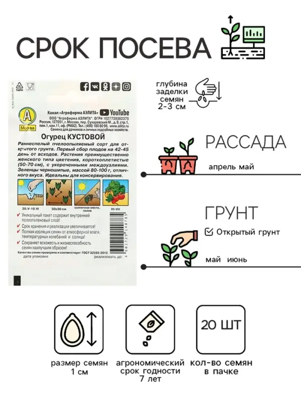 Семена Огурец Семена Огурец "Кустовой" "Лидер", 20 шт,