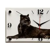 Часы настенные, интерьерные &laquo;Пантера&raquo;, бесшумные, 20&times;40 см, белые