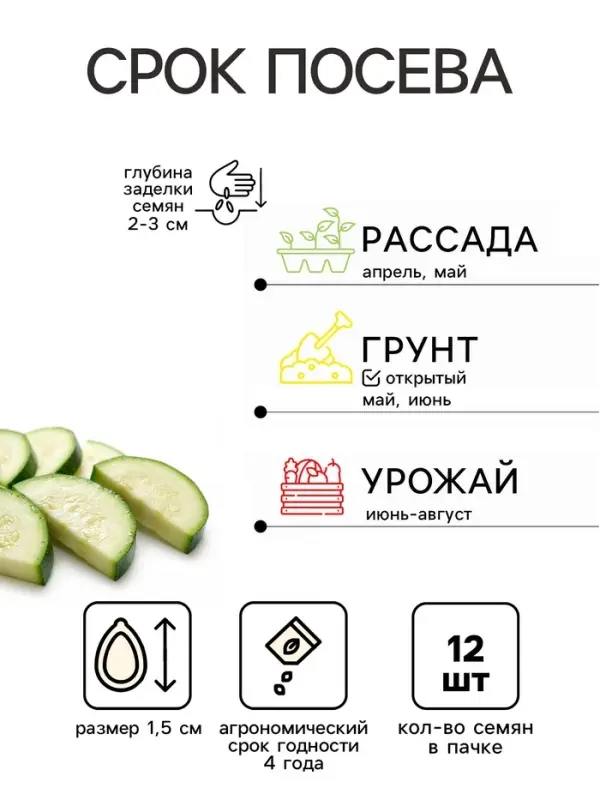 Семена Кабачок &laquo;Грибовские 37&raquo;, 12 шт., &laquo;ПОИСК&raquo;