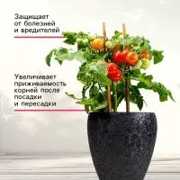 Микориза на вермикулите &laquo;Рецепты Дедушки Никиты&raquo;, 250 мл