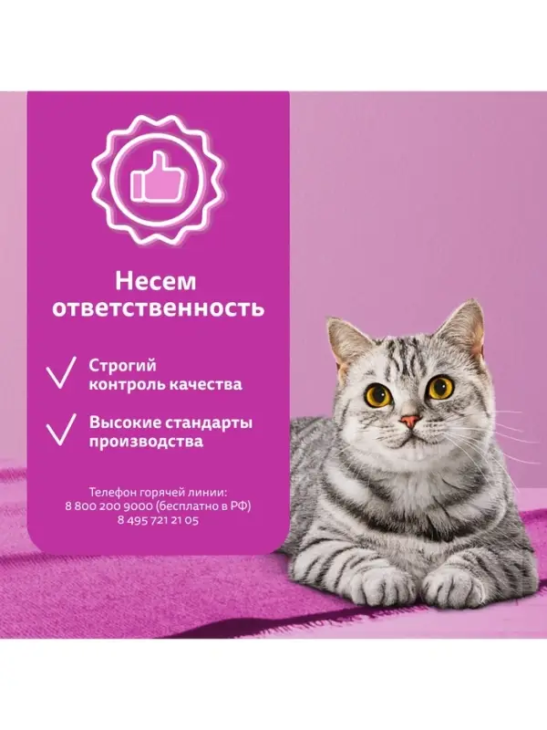Сухой корм Whiskas для кошек, курица/индейка, подушечки, 800 г