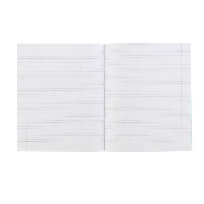 Комплект тетрадей из 20 штук, 12 листов в косую линию КПК "Зёленая обложка", блок офсет, белизна 90%