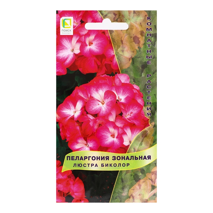 Семена цветов Пеларгония зональная  Семена цветов Пеларгония зональная "Люстра Биколор", 5шт.