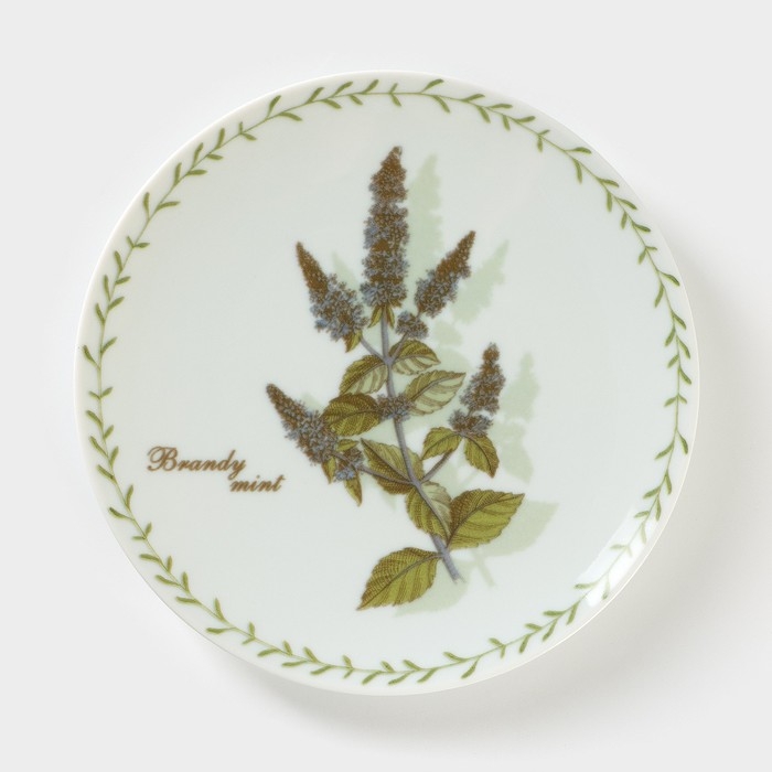 Тарелка фарфоровая «Ботаника. Мята», d=20 см, цвет белый Тарелка фарфоровая «Ботаника. Мята», d=20 см, цвет белый