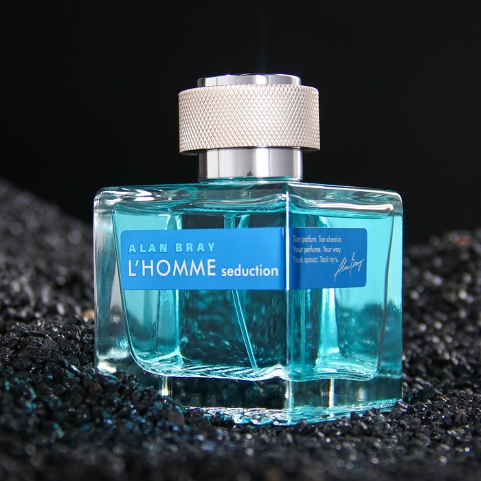 Туалетная вода мужская Alan Bray L'HOMME Seduction, 100 мл Туалетная вода мужская Alan Bray L'HOMME Seduction, 100 мл