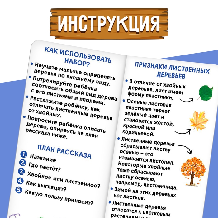 Развивающий набор «Хвойные и лиственные деревья» Развивающий набор «Хвойные и лиственные деревья»