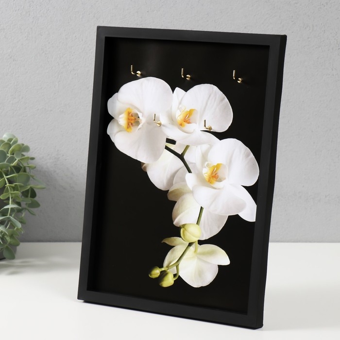 Ключница открытая Ключница открытая "Орхидея" 5 крючков, 23х32 см