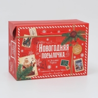 Пакет‒коробка «Посылочка», 28 х 20 х 13 см