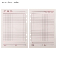 Сменный блок для органайзера А5, 80 листов в клетку, тонированный "Кремовый"