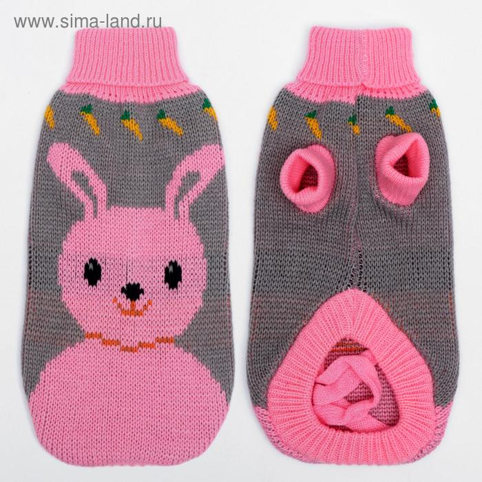 Свитер, размер 10 (ДС 30-45, ОШ 16-31, ОГ 30-45 см), микс расцветок Свитер, размер 10 (ДС 30-45, ОШ 16-31, ОГ 30-45 см), микс расцветок