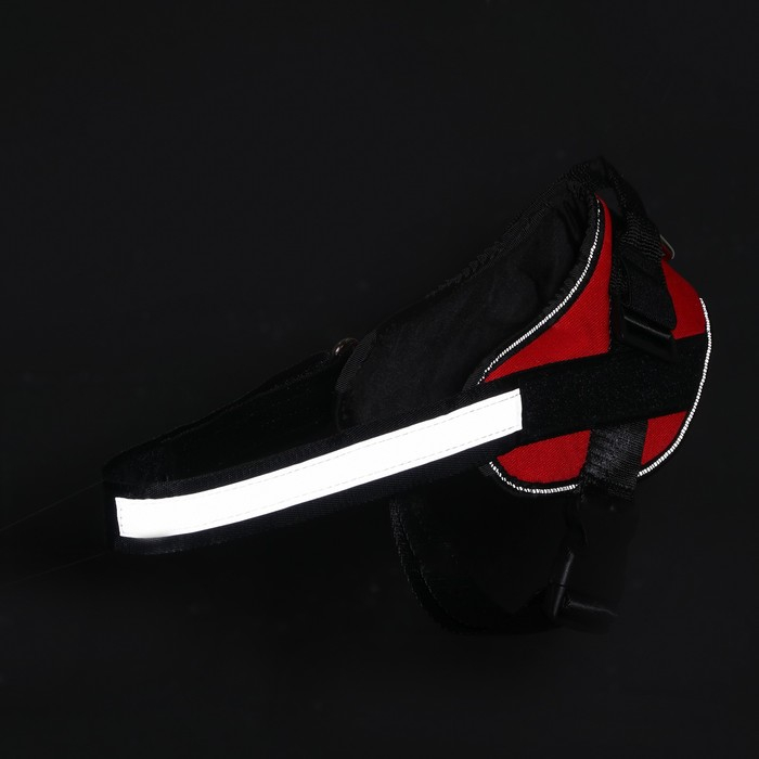 Шлейка К9 мягкая светоотражающая, размер L, ОГ 68-80 см, вес 17,5-32,5 см, красная Шлейка К9 мягкая светоотражающая, размер L, ОГ 68-80 см, вес 17,5-32,5 см, красная