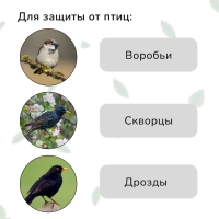 Сетка садовая, мягкая, 5 × 4 м, ячейка 15 × 15 мм, от птиц, Greengo